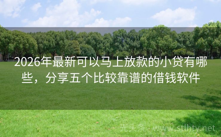 2026年最新可以马上放款的小贷有哪些，分享五个比较靠谱的借钱软件