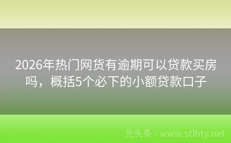 2026年热门网货有逾期可以贷款买房吗，概括5个必下的小额贷款口子
