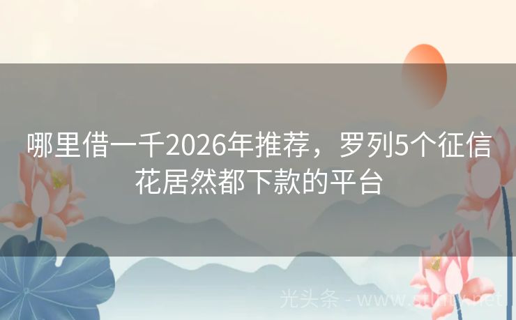 哪里借一千2026年推荐，罗列5个征信花居然都下款的平台