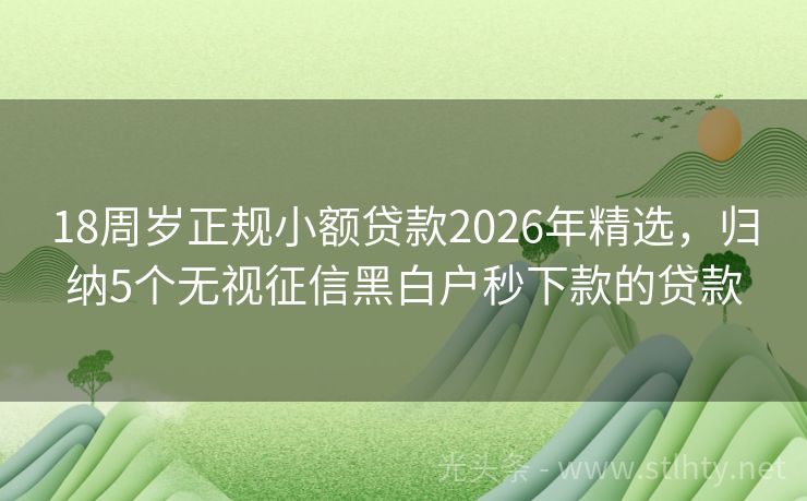 18周岁正规小额贷款2026年精选，归纳5个无视征信黑白户秒下款的贷款