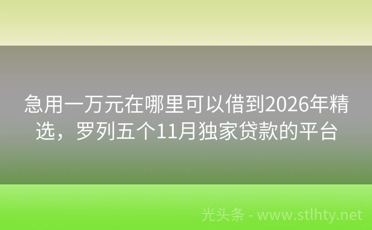急用一万元在哪里可以借到2026年精选，罗列五个11月独家贷款的平台