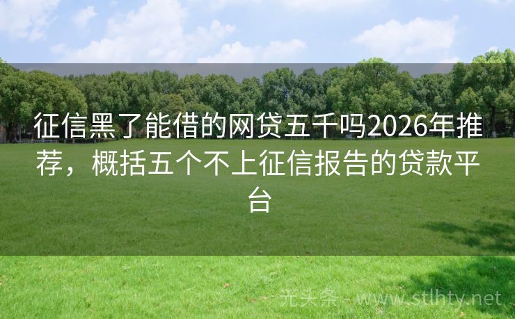 征信黑了能借的网贷五千吗2026年推荐，概括五个不上征信报告的贷款平台