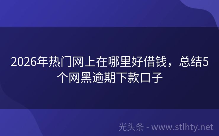 2026年热门网上在哪里好借钱，总结5个网黑逾期下款口子