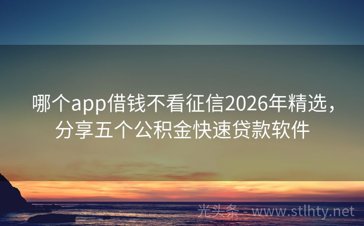 哪个app借钱不看征信2026年精选，分享五个公积金快速贷款软件