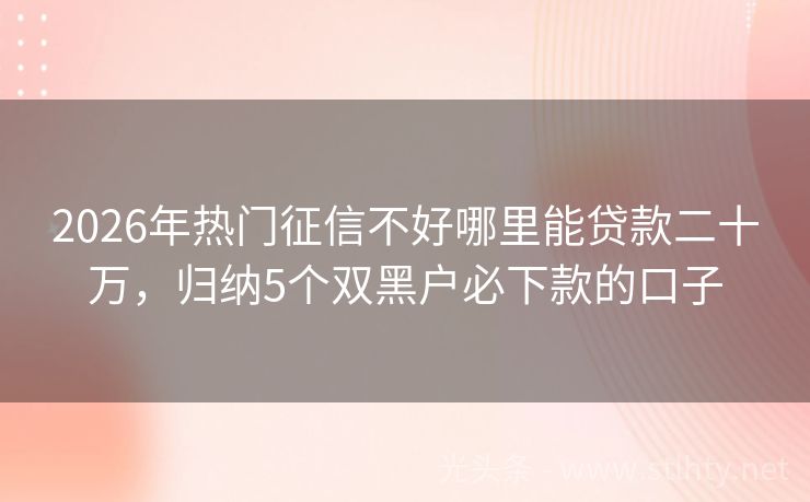 2026年热门征信不好哪里能贷款二十万，归纳5个双黑户必下款的口子