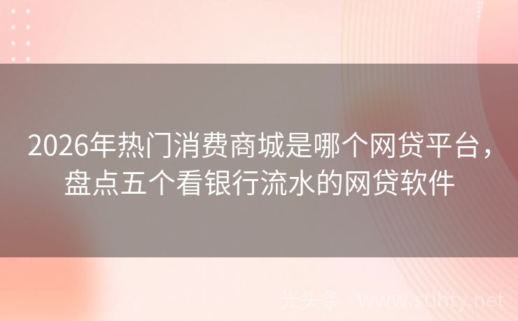 2026年热门消费商城是哪个网贷平台，盘点五个看银行流水的网贷软件