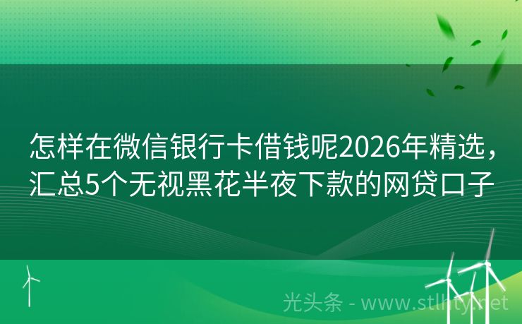 怎样在微信银行卡借钱呢2026年精选，汇总5个无视黑花半夜下款的网贷口子
