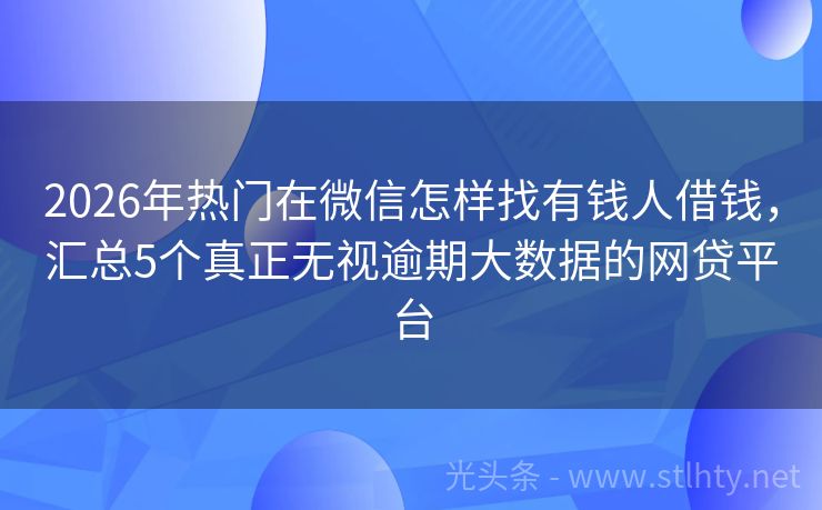 2026年热门在微信怎样找有钱人借钱，汇总5个真正无视逾期大数据的网贷平台
