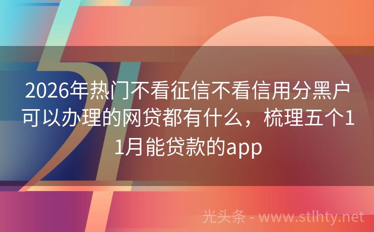 2026年热门不看征信不看信用分黑户可以办理的网贷都有什么，梳理五个11月能贷款的app