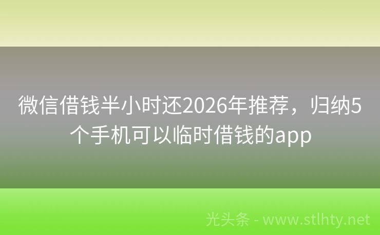 微信借钱半小时还2026年推荐，归纳5个手机可以临时借钱的app