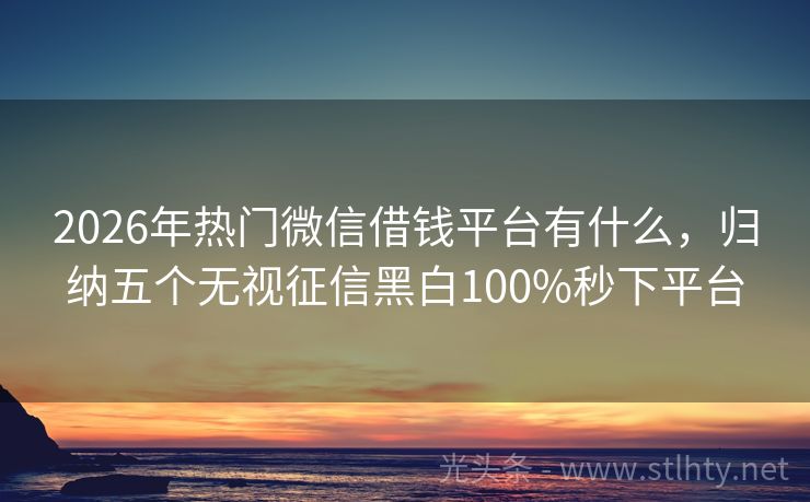 2026年热门微信借钱平台有什么，归纳五个无视征信黑白100%秒下平台