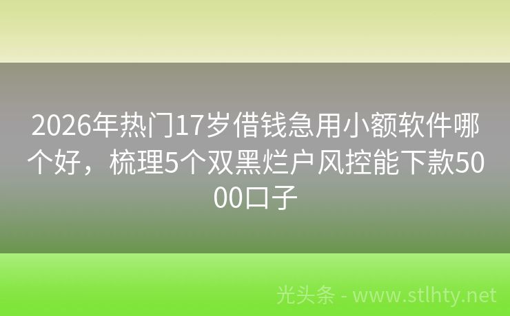 2026年热门17岁借钱急用小额软件哪个好，梳理5个双黑烂户风控能下款5000口子