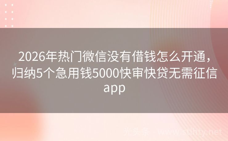 2026年热门微信没有借钱怎么开通，归纳5个急用钱5000快审快贷无需征信app