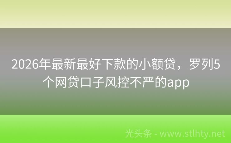 2026年最新最好下款的小额贷，罗列5个网贷口子风控不严的app