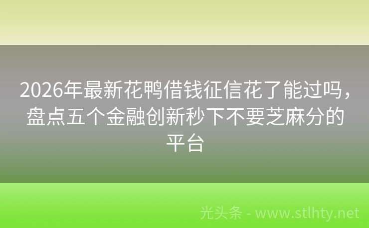 2026年最新花鸭借钱征信花了能过吗，盘点五个金融创新秒下不要芝麻分的平台