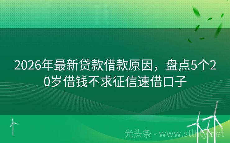 2026年最新贷款借款原因，盘点5个20岁借钱不求征信速借口子