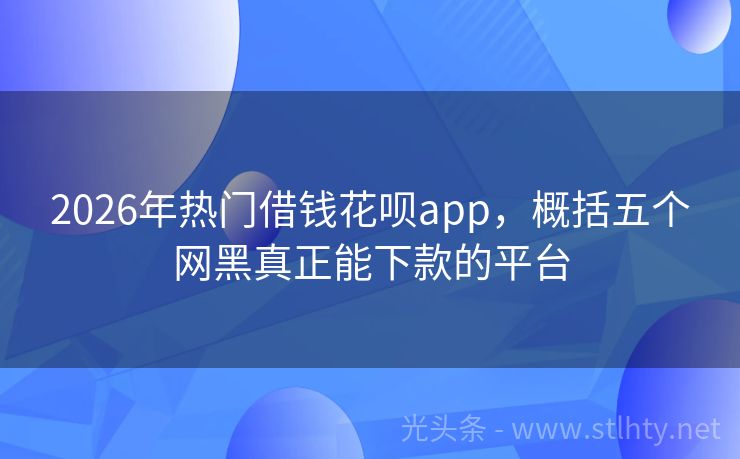 2026年热门借钱花呗app，概括五个网黑真正能下款的平台