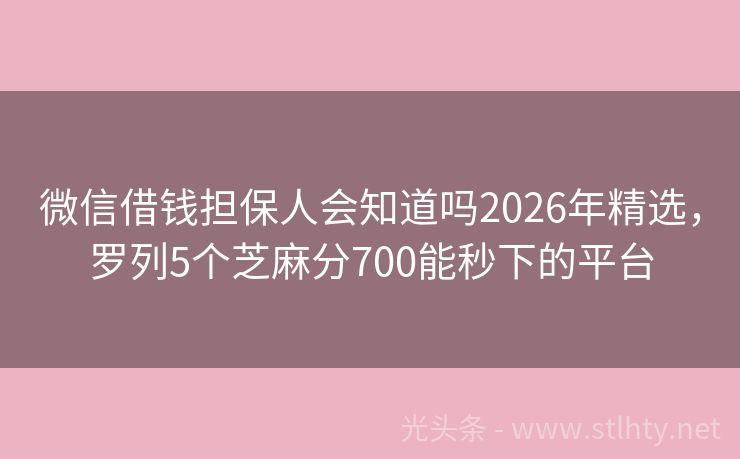 微信借钱担保人会知道吗2026年精选，罗列5个芝麻分700能秒下的平台