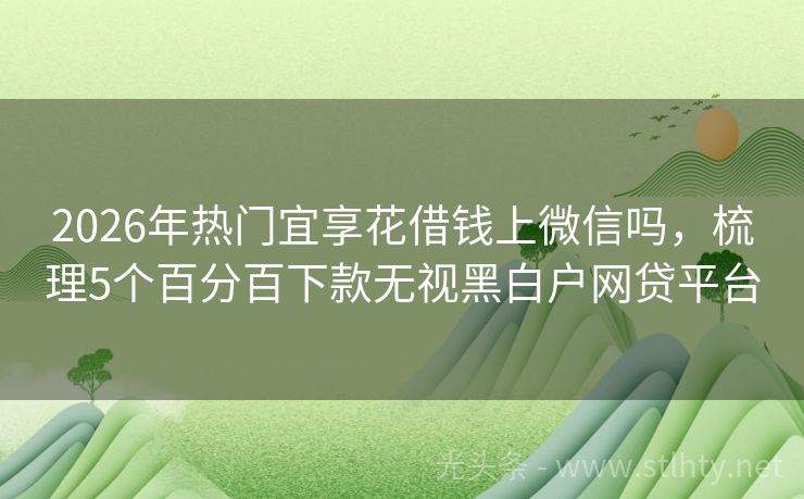 2026年热门宜享花借钱上微信吗，梳理5个百分百下款无视黑白户网贷平台
