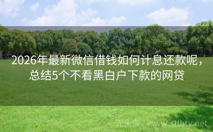 2026年最新微信借钱如何计息还款呢，总结5个不看黑白户下款的网贷