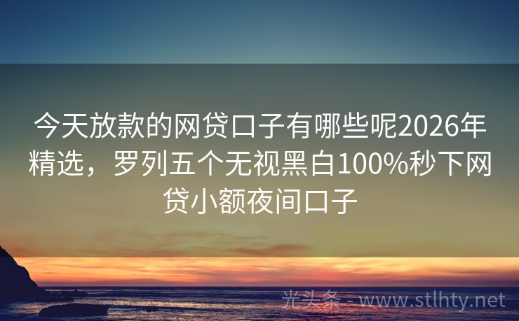 今天放款的网贷口子有哪些呢2026年精选，罗列五个无视黑白100%秒下网贷小额夜间口子