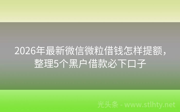 2026年最新微信微粒借钱怎样提额，整理5个黑户借款必下口子