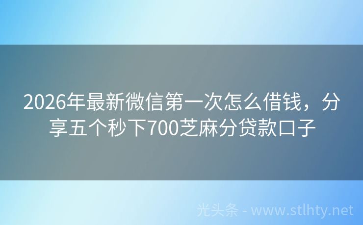 2026年最新微信第一次怎么借钱，分享五个秒下700芝麻分贷款口子