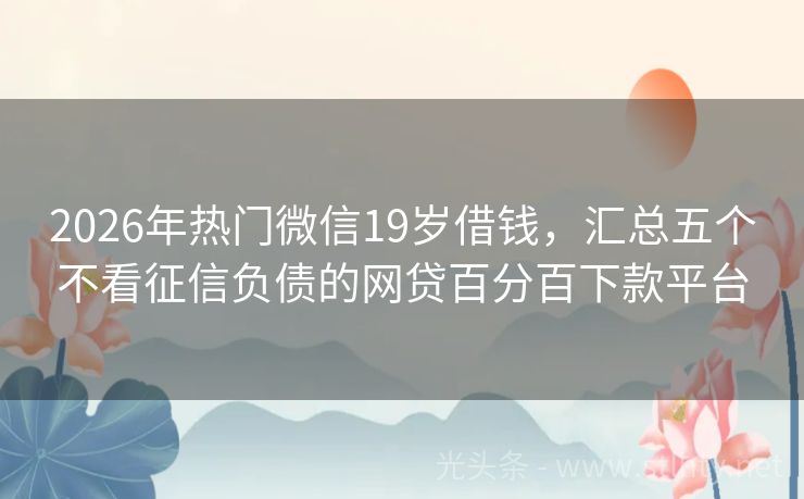 2026年热门微信19岁借钱，汇总五个不看征信负债的网贷百分百下款平台