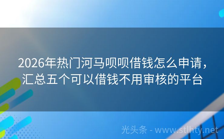 2026年热门河马呗呗借钱怎么申请，汇总五个可以借钱不用审核的平台