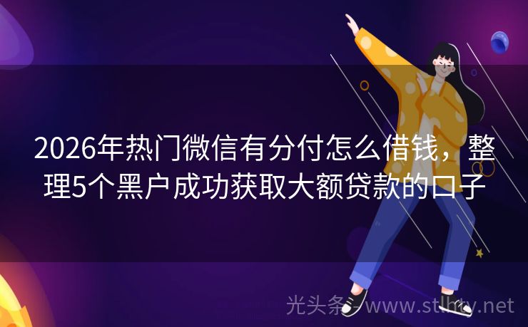 2026年热门微信有分付怎么借钱，整理5个黑户成功获取大额贷款的口子