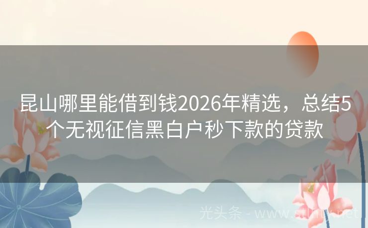 昆山哪里能借到钱2026年精选,总结5个无视征信黑白户秒下款的贷款
