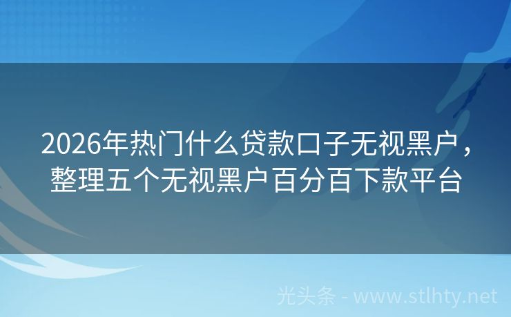 2026年热门什么贷款口子无视黑户,整理五个无视黑户百分百下款平台