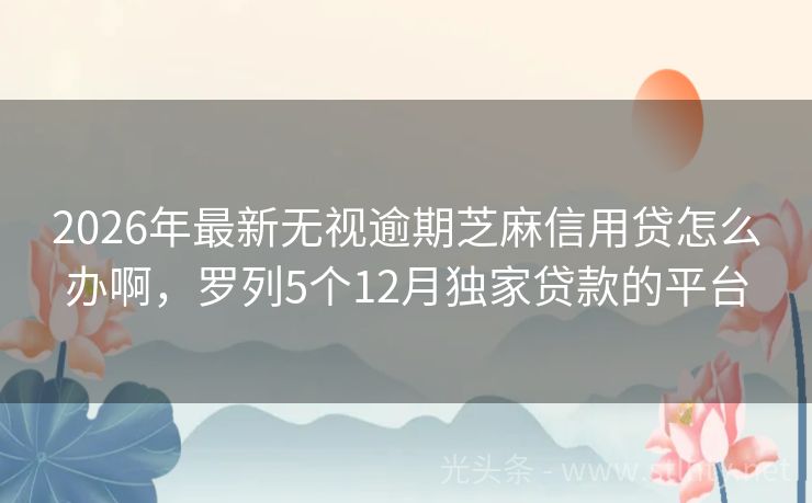 2026年最新无视逾期芝麻信用贷怎么办啊，罗列5个12月独家贷款的平台