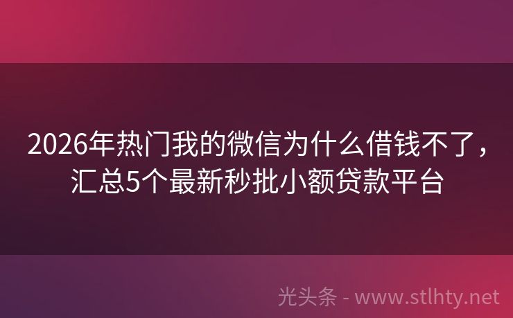 2026年热门我的微信为什么借钱不了，汇总5个最新秒批小额贷款平台