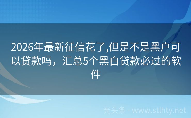 2026年最新征信花了,但是不是黑户可以贷款吗，汇总5个黑白贷款必过的软件