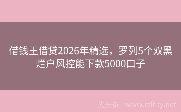 借钱王借贷2026年精选，罗列5个双黑烂户风控能下款5000口子