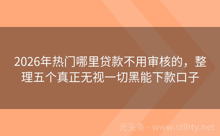 2026年热门哪里贷款不用审核的，整理五个真正无视一切黑能下款口子