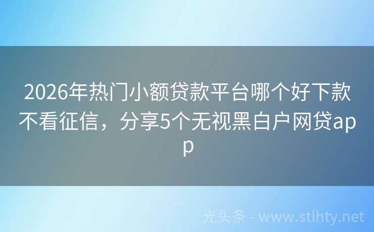 2026年热门小额贷款平台哪个好下款不看征信，分享5个无视黑白户网贷app