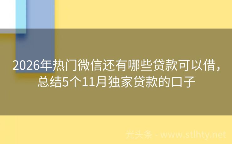 2026年热门微信还有哪些贷款可以借，总结5个11月独家贷款的口子