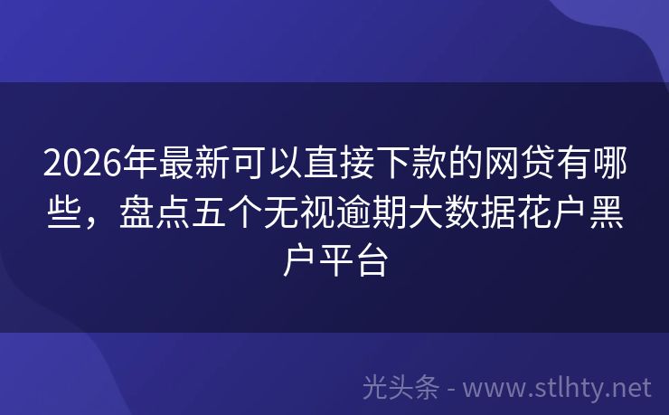 2026年最新可以直接下款的网贷有哪些，盘点五个无视逾期大数据花户黑户平台