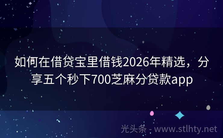 如何在借贷宝里借钱2026年精选，分享五个秒下700芝麻分贷款app
