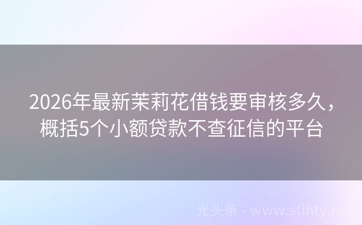 2026年最新茉莉花借钱要审核多久，概括5个小额贷款不查征信的平台