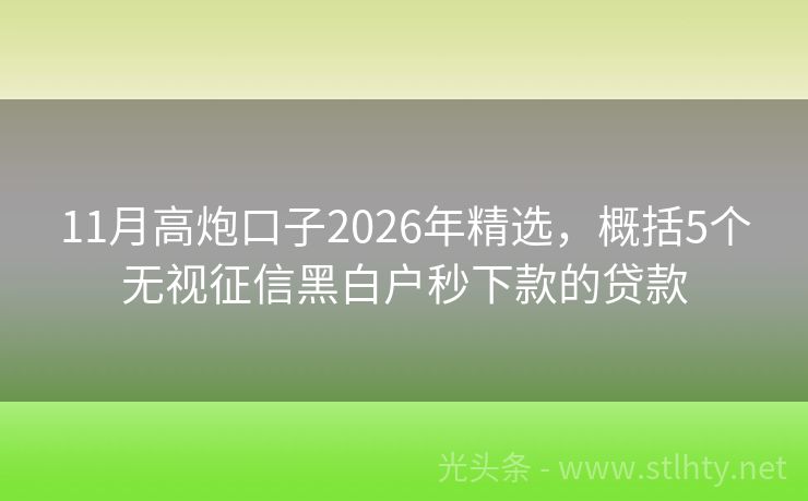 11月高炮口子2026年精选，概括5个无视征信黑白户秒下款的贷款