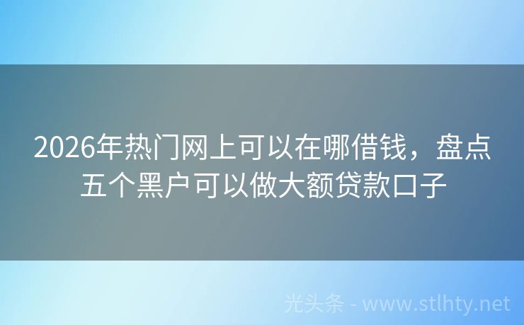 2026年热门网上可以在哪借钱，盘点五个黑户可以做大额贷款口子