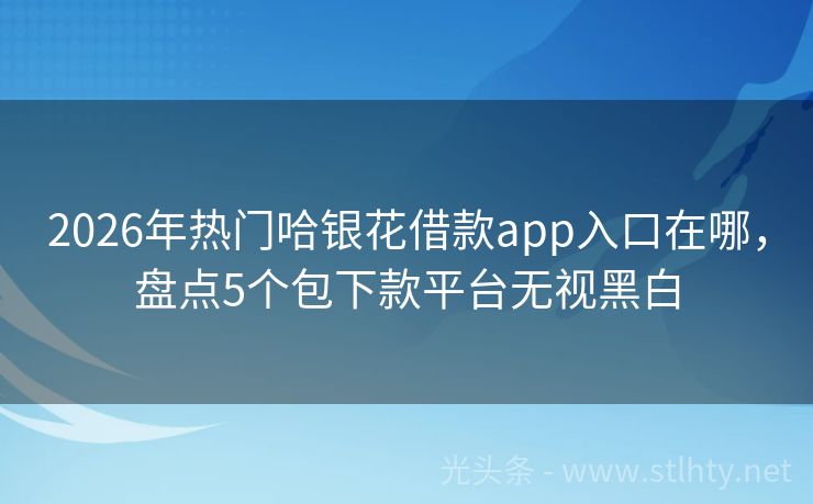 2026年热门哈银花借款app入口在哪，盘点5个包下款平台无视黑白