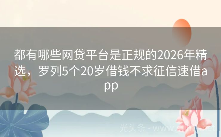 都有哪些网贷平台是正规的2026年精选，罗列5个20岁借钱不求征信速借app