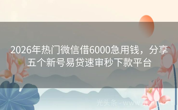 2026年热门微信借6000急用钱，分享五个新号易贷速审秒下款平台