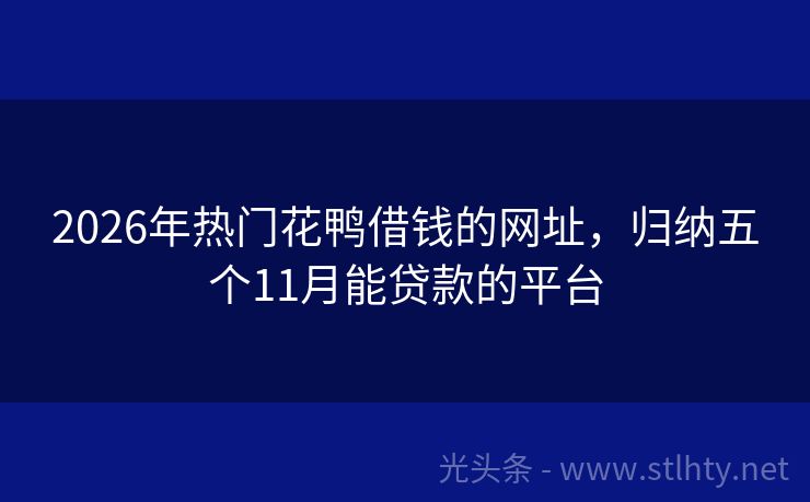2026年热门花鸭借钱的网址，归纳五个11月能贷款的平台