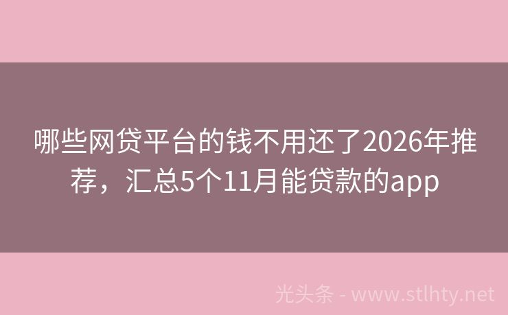 哪些网贷平台的钱不用还了2026年推荐，汇总5个11月能贷款的app