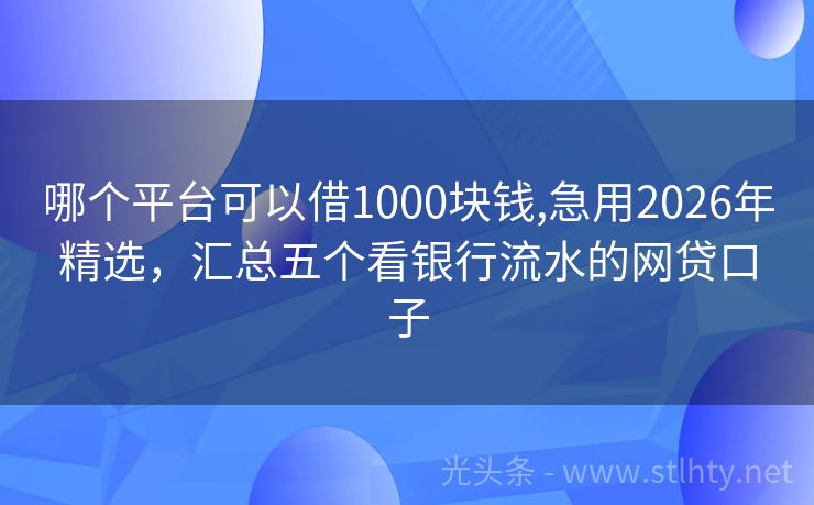 哪个平台可以借1000块钱,急用2026年精选，汇总五个看银行流水的网贷口子